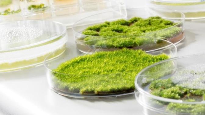 What's your opinion on the state of Synthetic Biology?