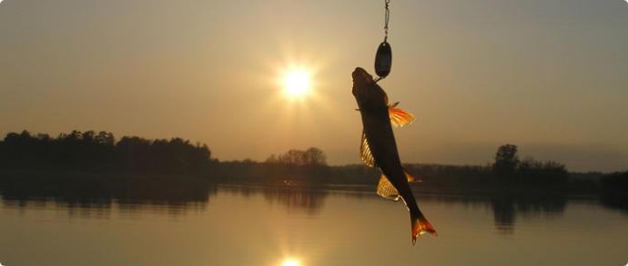 Fishing