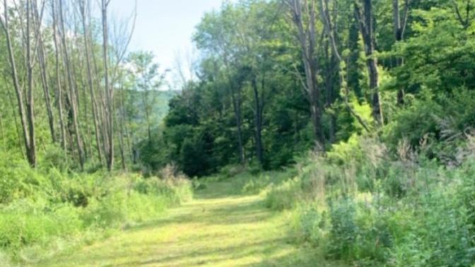Is this a good adventure picture yes or no?