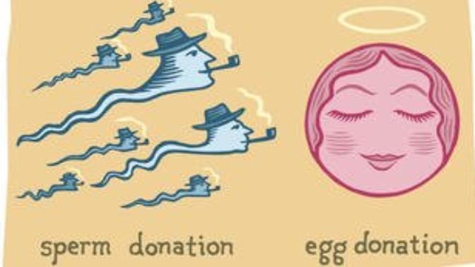 Would you donate your eggs/sperm?