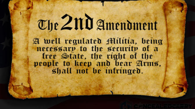 Is the second amendment the reason for police violence?