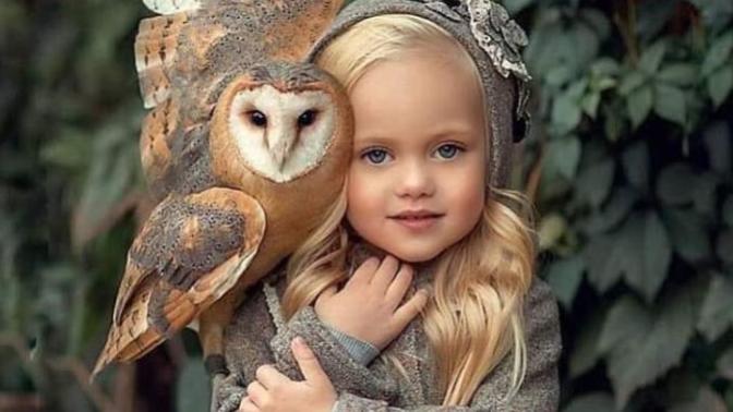 Do you love owls?