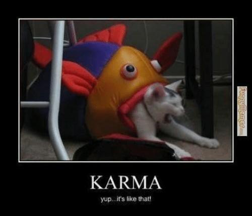 Do you love Karma?