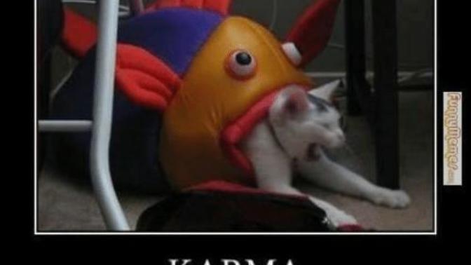 Do you love Karma?