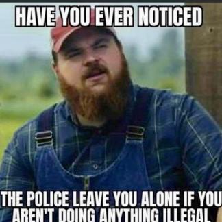 If you dont do illegal things, the cops will leave you alone: TRUE OR FALSE?