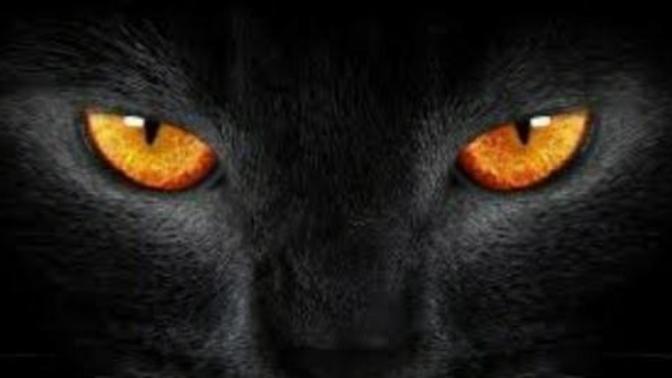 Are you superstitious?