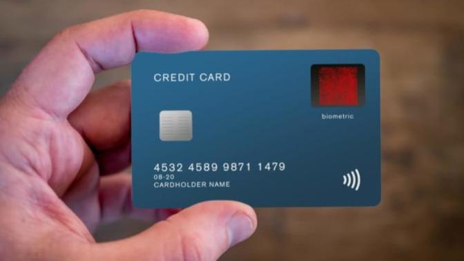 If You Could Max Out Your Credit Card At One Store, And Not Pay The Bill, Which Store Would You Choose?