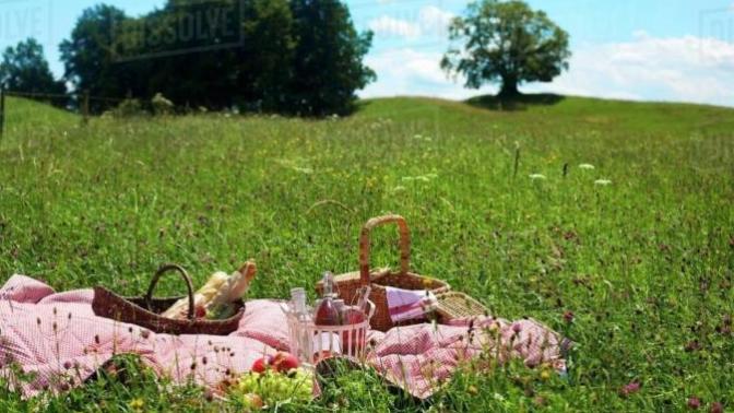 Ladies, what would you think of a picnic date?