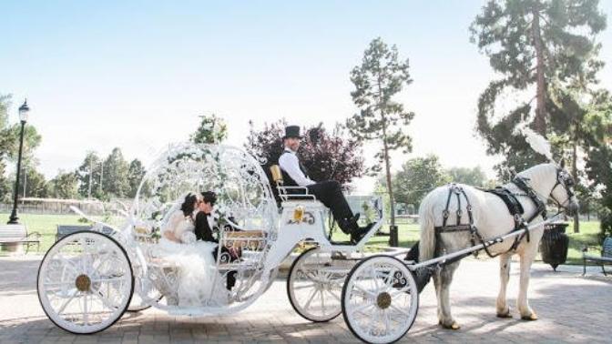 What is your ideal wedding or what would be your ideal wedding?