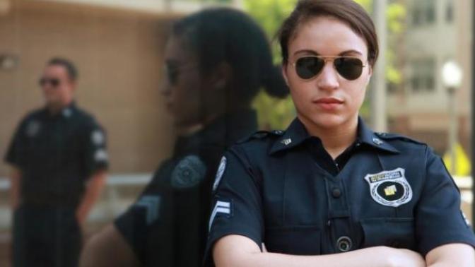Would Law Enforcement Agencies be better off if they hired more females?