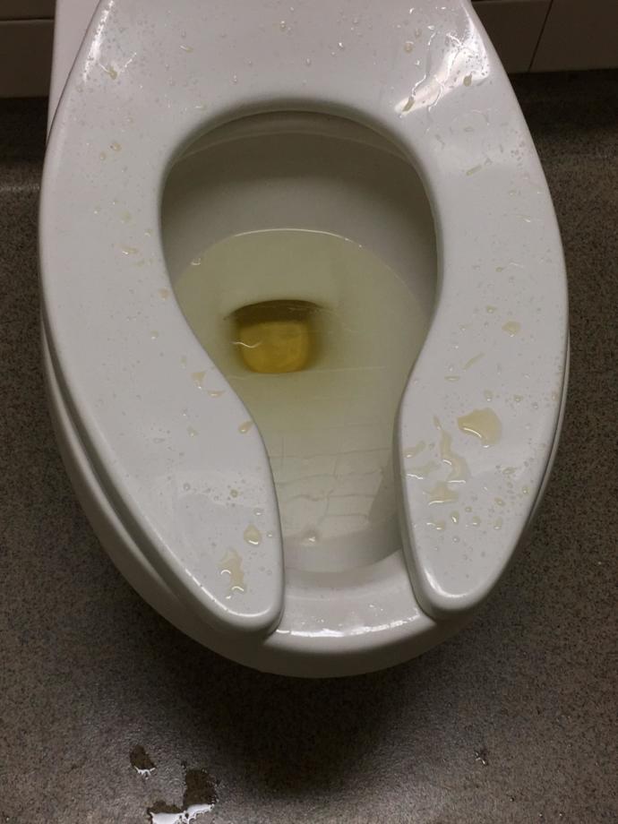 Girls, why do you always complain about the toilet seat?
