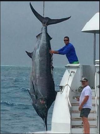 Is marlin fishing something you would be interested in trying out?