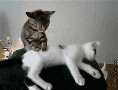 Would You Rather Get A Massage From A Female Or Male Masseuse?