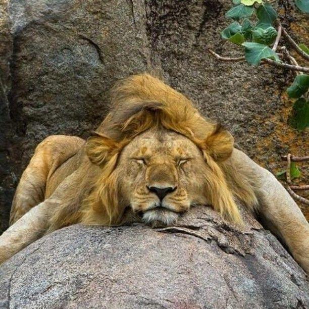 I hate Mondays