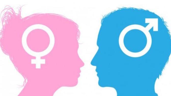 Do you understand men or women better?