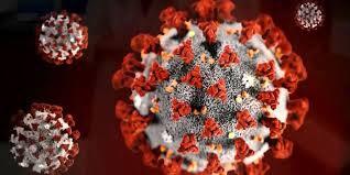 How much longer do you think Coronavirus will go on for?