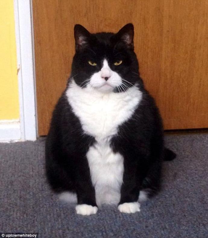 How Much Body Confidence Do You Have? (On a Scale From 1-10)?