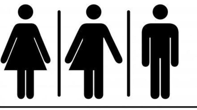 Do you believe there are more than 2 genders?