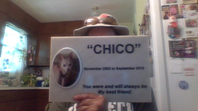 After I got my grave stone of my chihuahua a dog later that day ran up and jump in my lap and kissed me , Do you think my chihuahua was communicating?