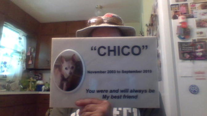 After I got my grave stone of my chihuahua a dog later that day ran up and jump in my lap and kissed me , Do you think my chihuahua was communicating?