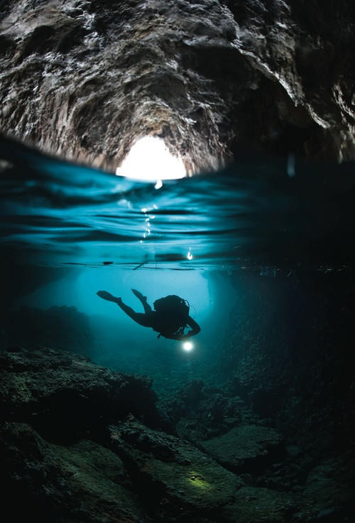 Would you rather be a deep sea diver or a astronaut?