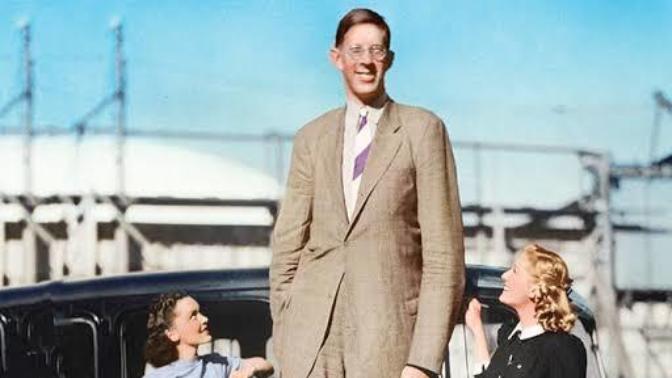 Who's the tallest person you met ever?