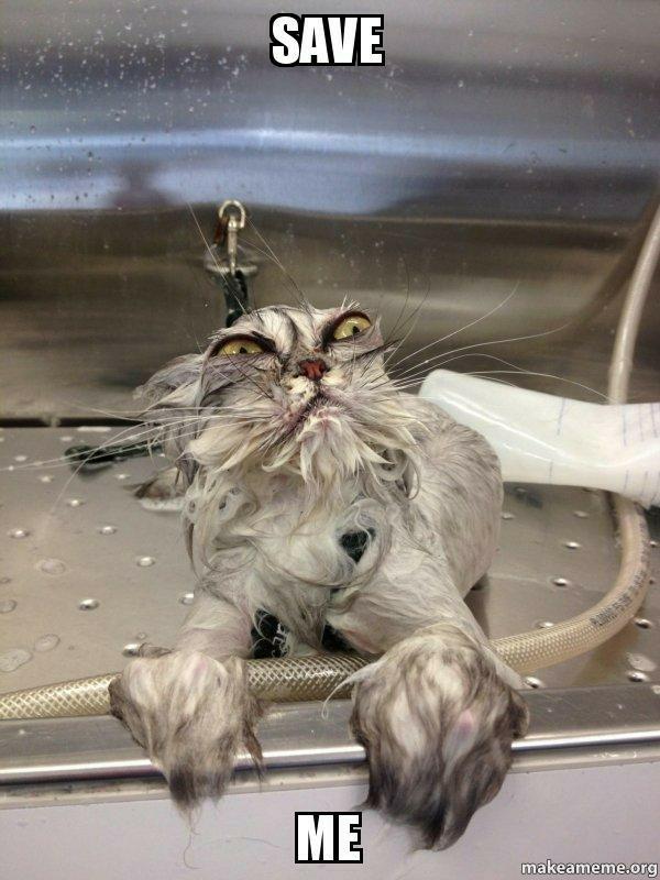 Can you please post some funny memes?