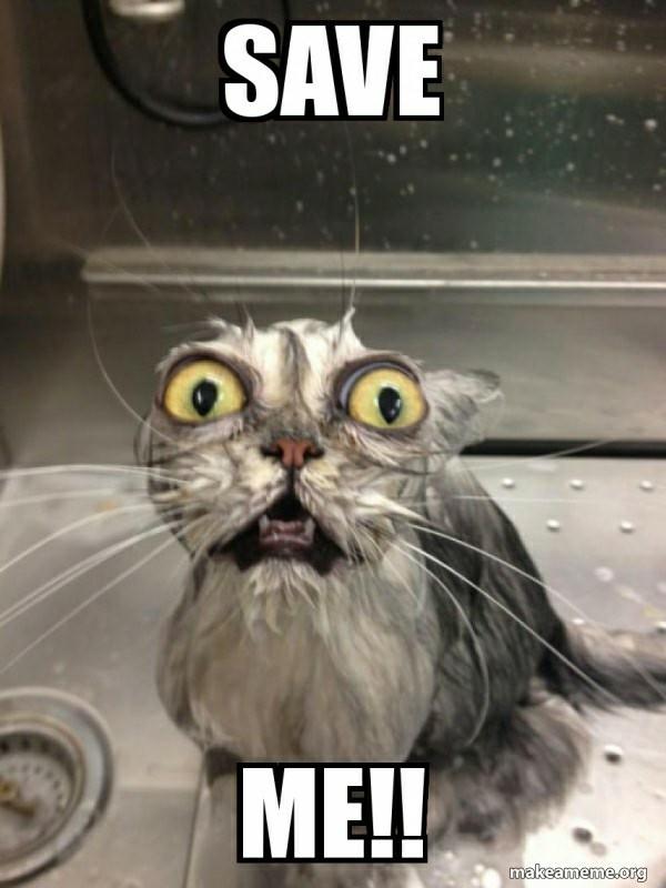 Can you please post some funny memes?