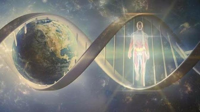 If given the chance, would you want to become immortal or stay mortal?