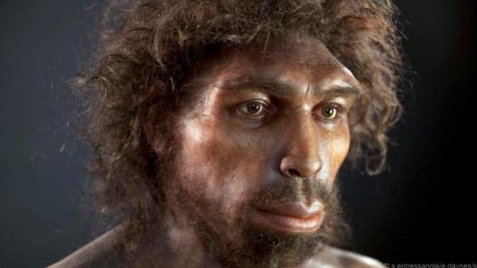 Do you think we should bring back Neanderthals if science is capable of doing so?