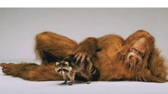 Do you believe there exists today a Bigfoot?
