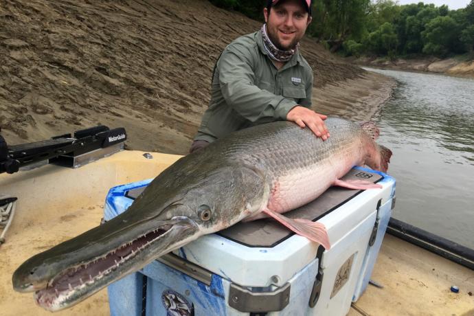 Would you go fishing for River Monsters?