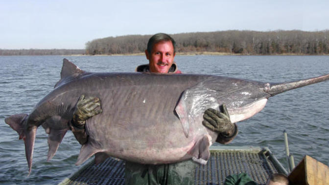 Would you go fishing for River Monsters?