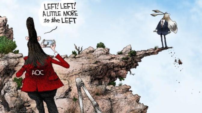 What has caused the current democrat party (USA) to look like a party of mental retards?