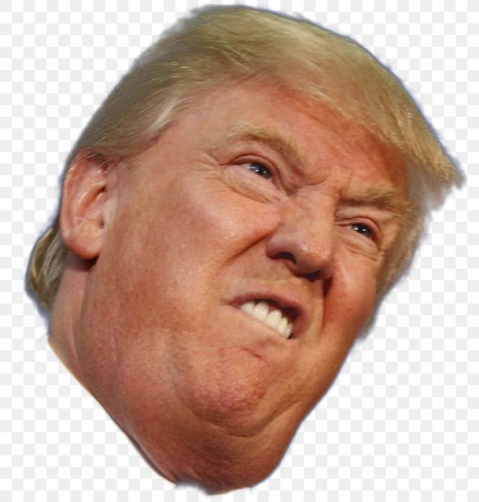 Do you like donald trump?