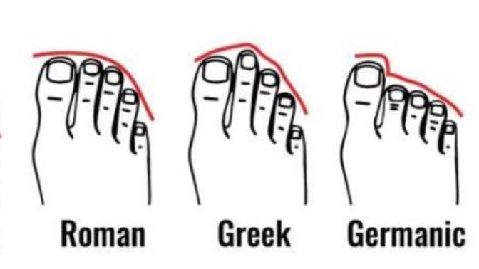 What's your foot shape?