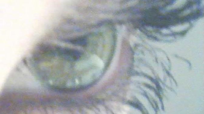 Can this eye color be described as green or hazel-green or would you say it is grey-brown-green?