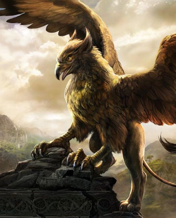 If you could breed one hybrid animal of two species, what would it be?