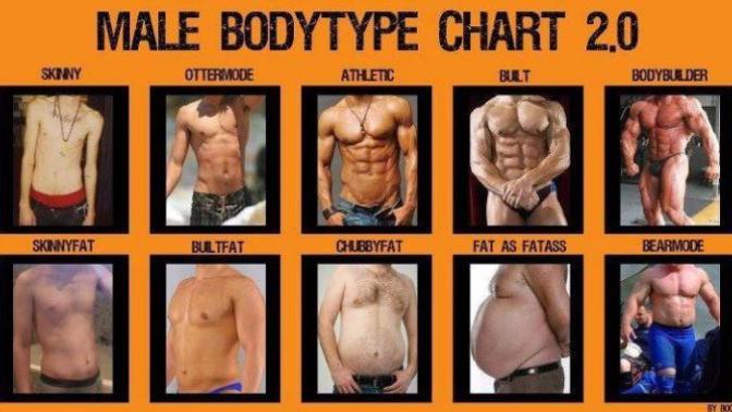 Girls, which of these male body types would you accept for a hook up, dating and a serious relationship?