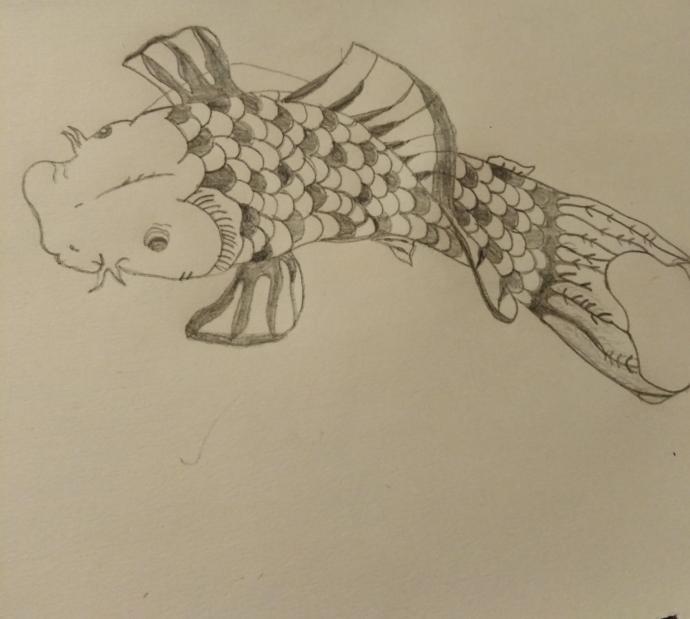 Which koi fish drawing is best ?