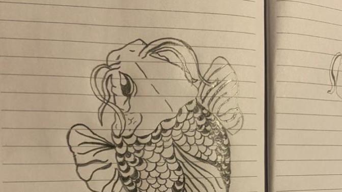 Which koi fish drawing is best?