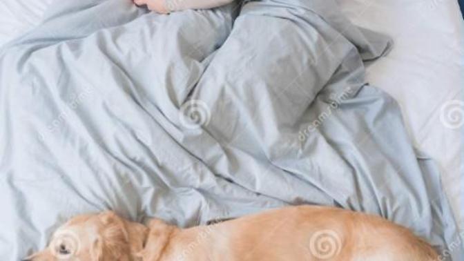 What would you do if your partner loves animals but you don't?