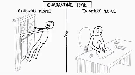 Do you consider yourself an introvert or an extrovert?