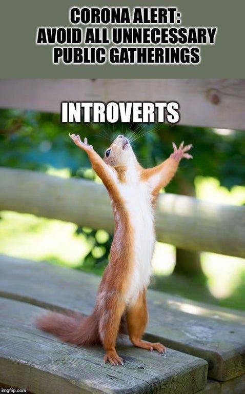 Do you consider yourself an introvert or an extrovert?