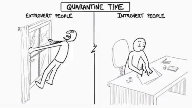 Do you consider yourself an introvert or an extrovert?
