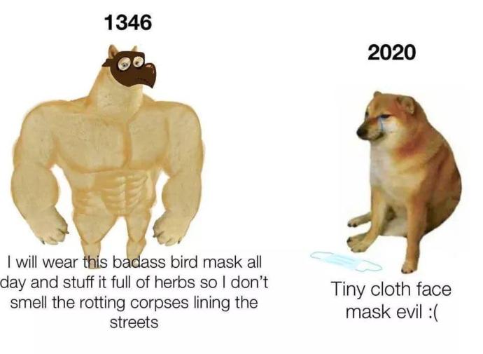 To the people who refuse to wear face masks, do you relate to this meme?