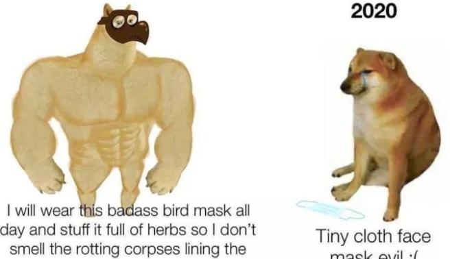 To the people who refuse to wear face masks, do you relate to this meme?