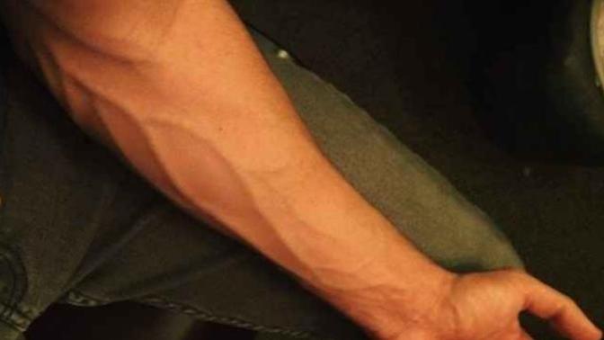 Are veiny forearms attractive to women?