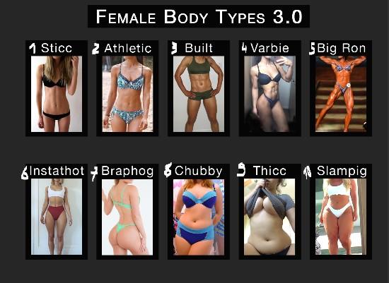 Which bodytype do you prefer?
