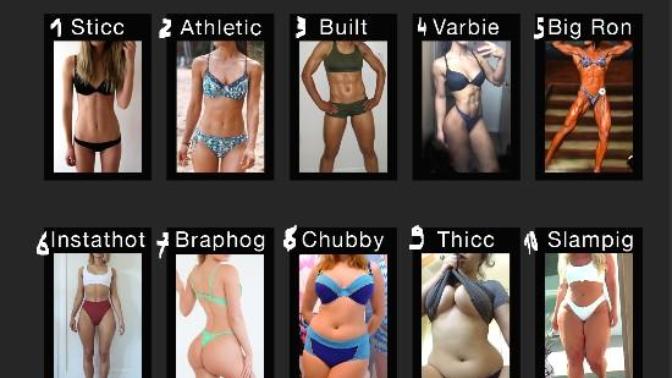 Which bodytype do you prefer?